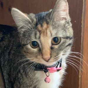 Meet your Posher, Isabella